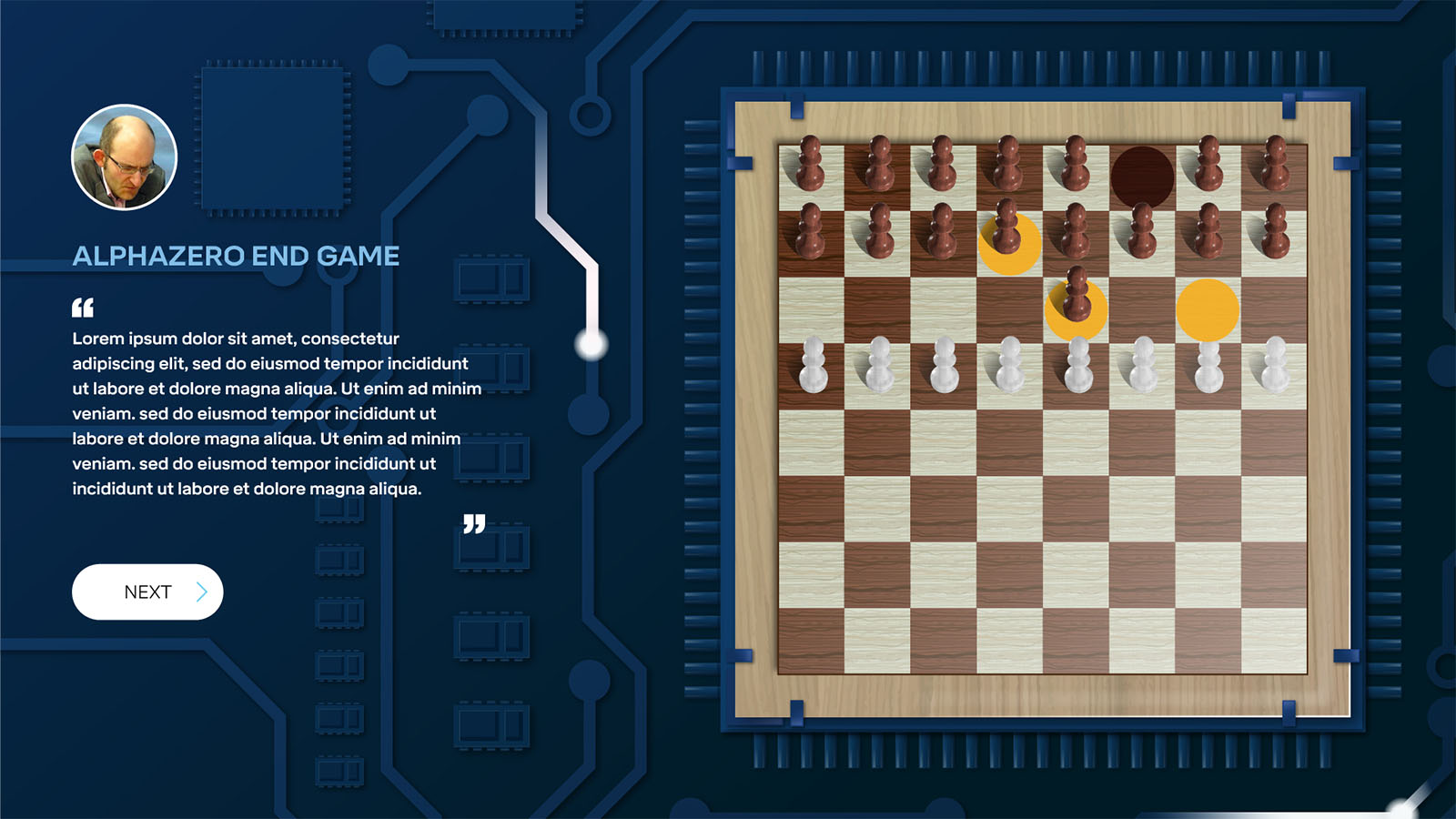 DP-Chess portfolio